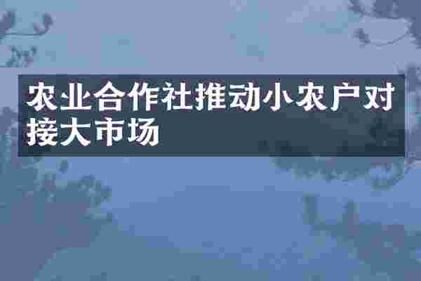 农业合作社推动小农户对接大市场