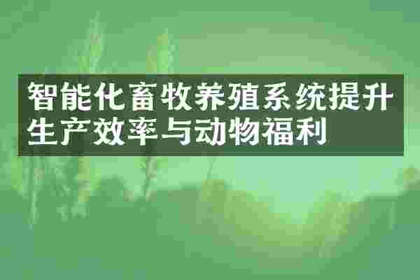 智能化畜牧养殖系统提升生产效率与动物福利