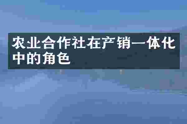 农业合作社在产销一体化中的角色