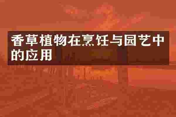 香草植物在烹饪与园艺中的应用