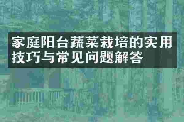 家庭阳台蔬菜栽培的实用技巧与常见问题解答